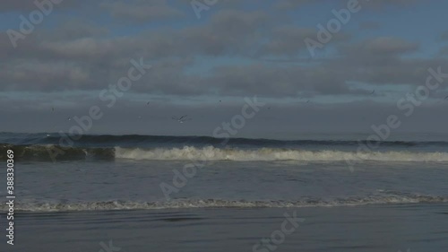 Seagulls Flying Over the Crashing Tide