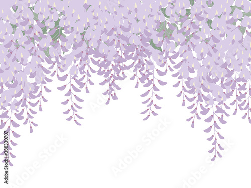 藤の花の背景_和風イラスト_藤棚_葉あり