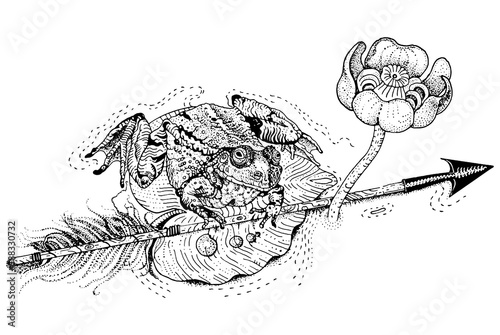 The frog princess. Amphibian sits on a water lily leaf and holds an arrow. Russian fairytale. T shirt print, tattoo design in dotwork style.