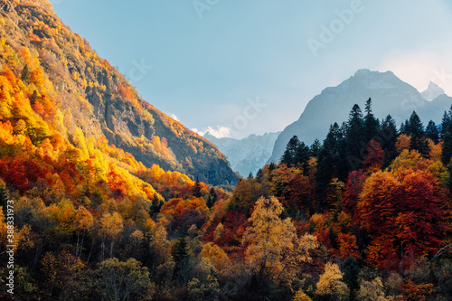 Rocky mountains and autumnal forest with colorful trees. Mountain landscape and amazing light