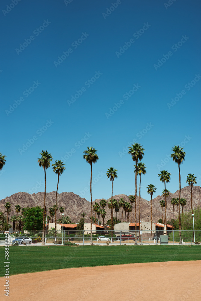 palm springs