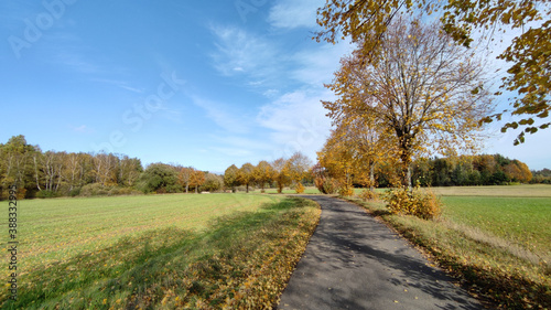 Autumn leaves in the country side on a sunny day with blue sky during Fall season near Fulda, Germany.
