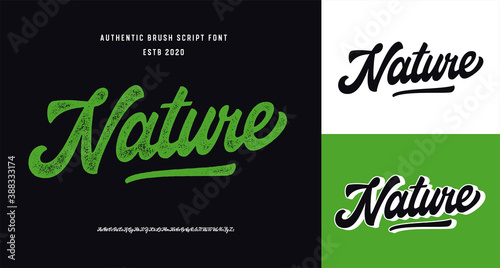 Original Brush Script Font "Nature ". Retro Typeface. Vector Illustration.