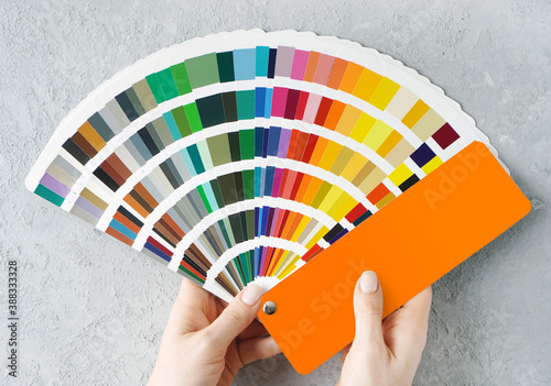 Appartment renovation concept. Female hands holding colors palette fan on a concrete wall background. photo