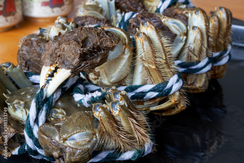 Close-up of plump Yangcheng Lake hairy crabs photo