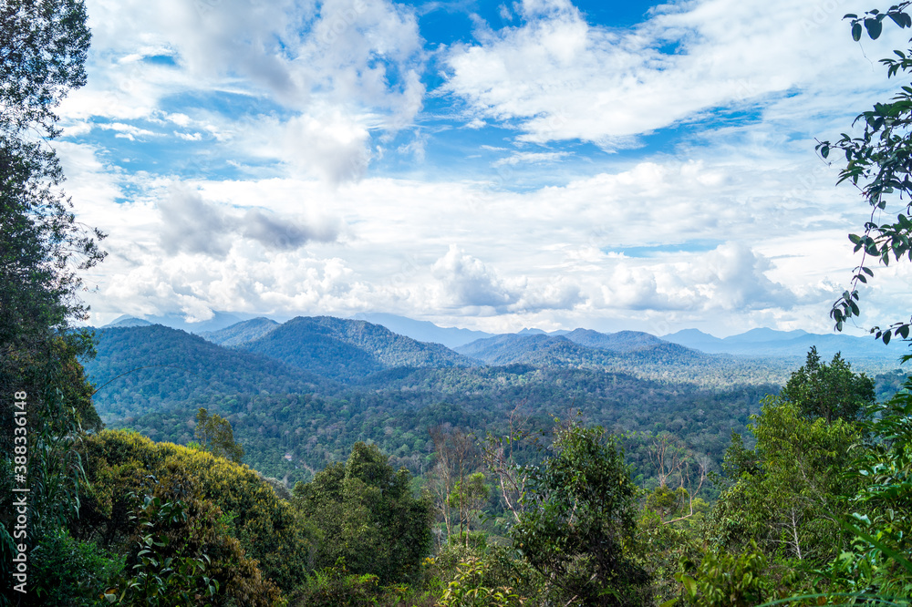 mountain and jungle landscape with clouds