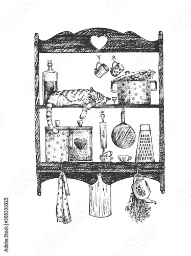 kitchen shelves with a cat sitting on it