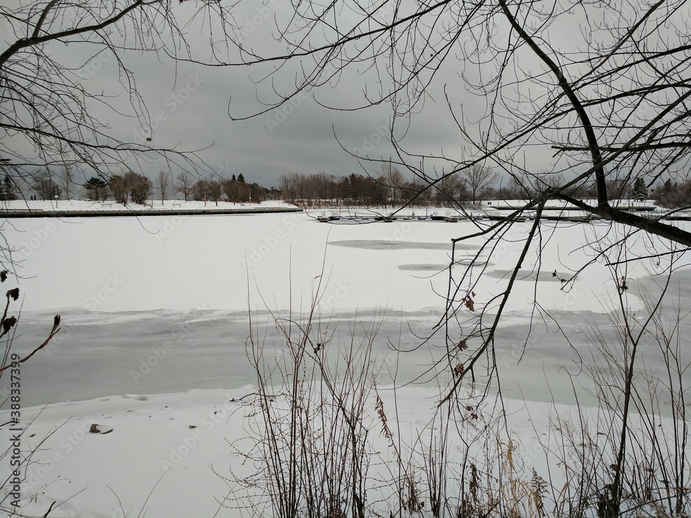 Fototapeta premium river in winter
