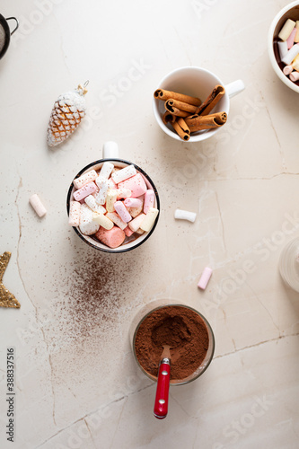 Overhead view of Christmas hot chocolate with marshmallow on light surface, cinnamon powder and cinnamon sticks