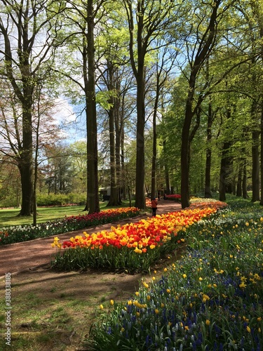 Tulips at Chateau Grand Bigard, Belgium