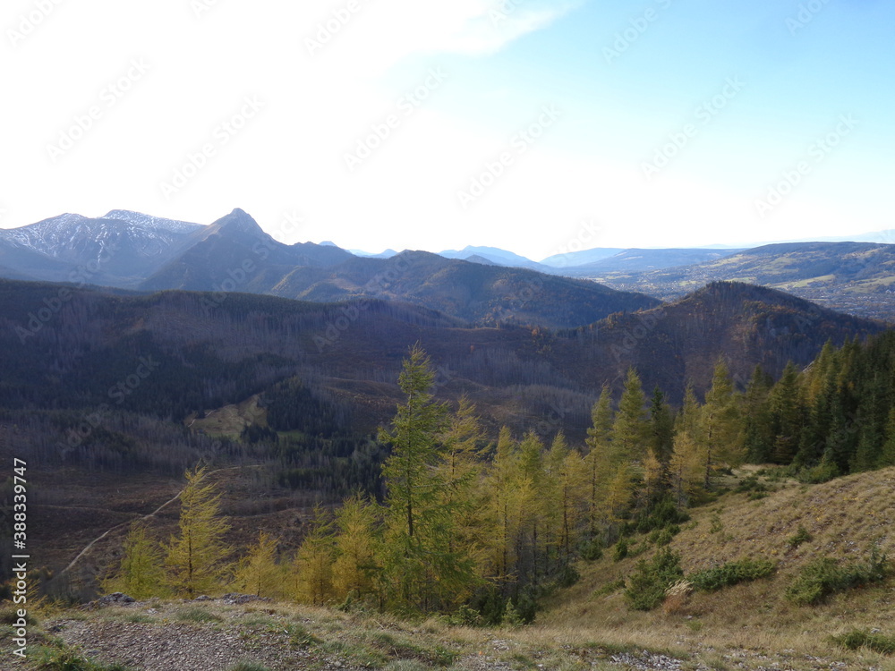 Obraz premium Tatra National Park