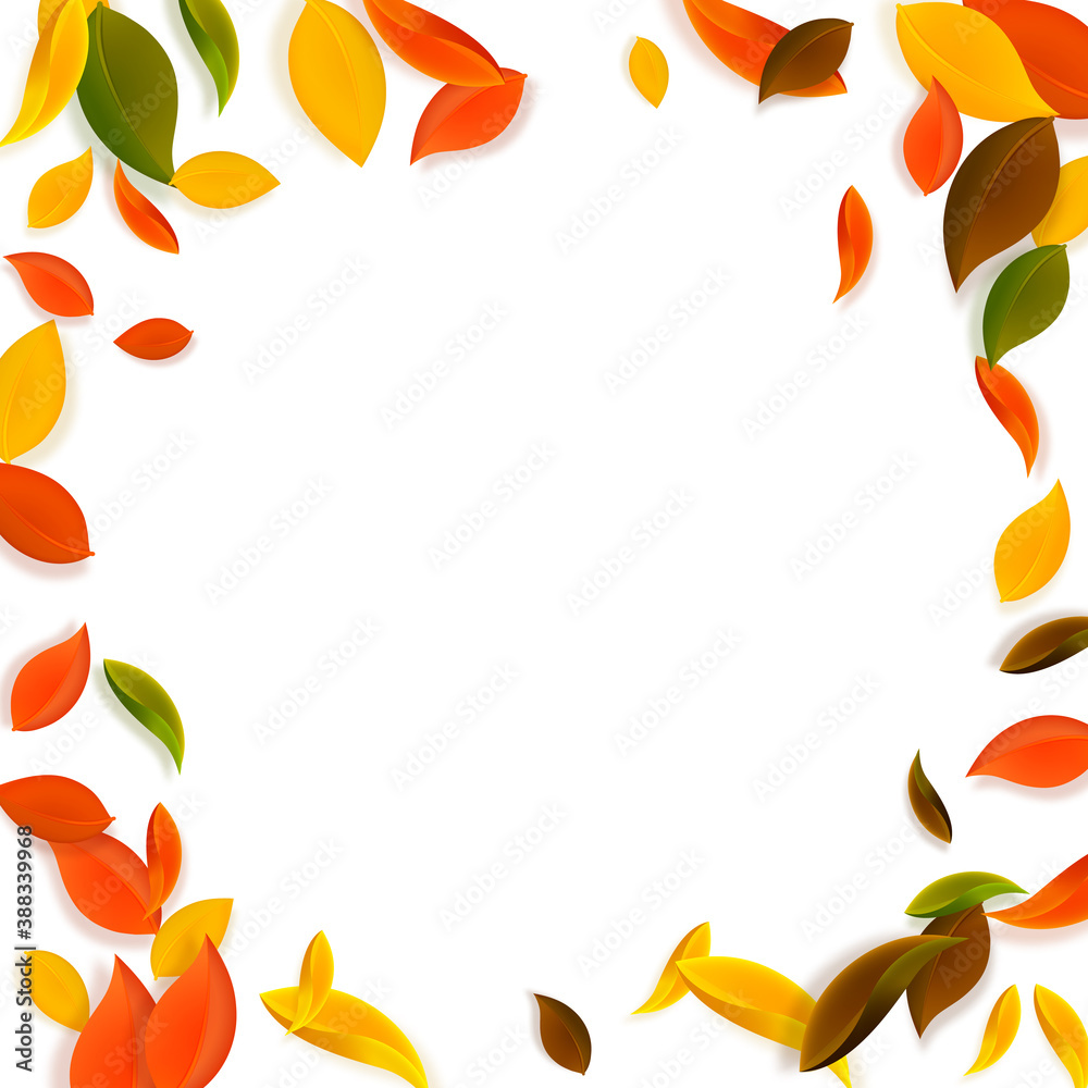 Falling autumn leaves. Red, yellow, green, brown c Falling autumn leaves. Red, yellow, green, brown c