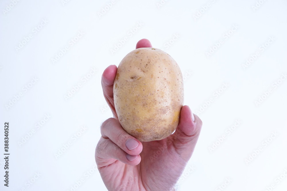 Whole raw potato held by Caucasian male hand close up shot isolated on white Whole raw potato held by Caucasian male hand close up shot isolated on white