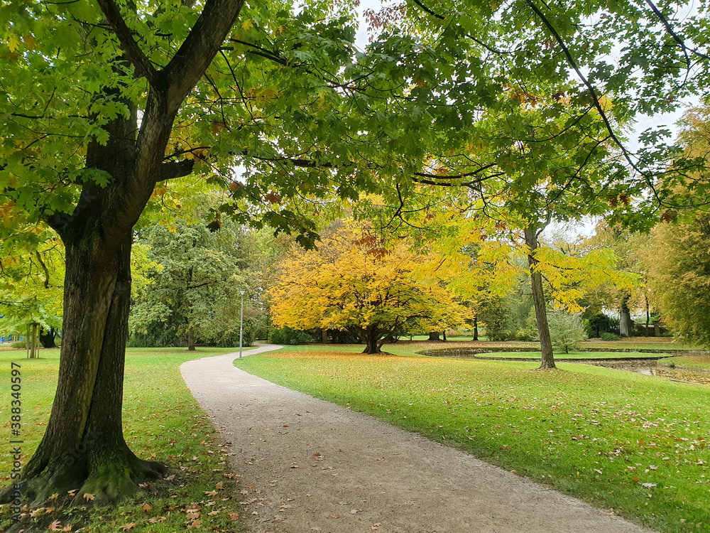 Parkweg im Hofgarten Bayreuth führt am Laubbaum mit gelben Blättern vorbei entlang eines Bachlaufs im Hofgarten Bayreuth. 2020. Perspektive 2