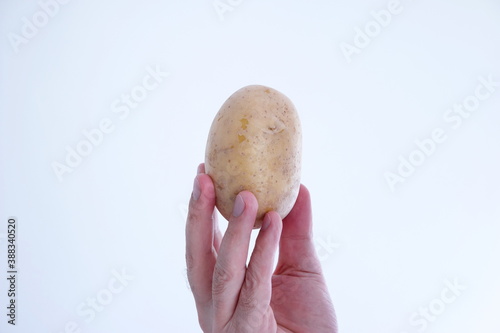 Whole raw potato held by Caucasian male hand close up shot isolated on white