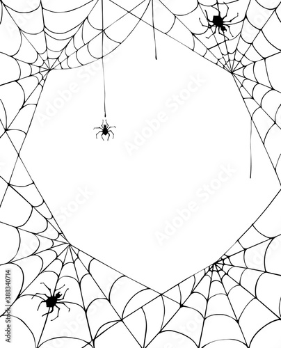 Halloween background with cobweb and spiders. Halloween card.