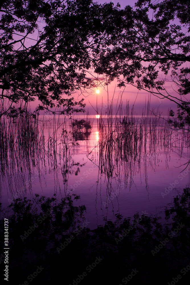 琵琶湖湖畔の日の出