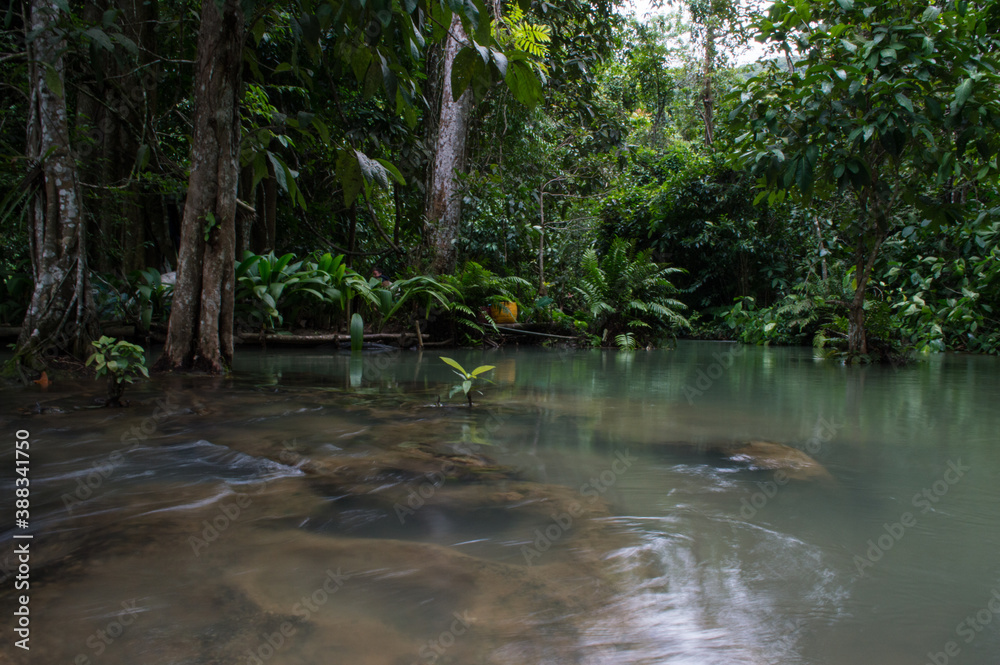 Obraz premium Kuang Si Waterfalls near Luang Prabang, Laos