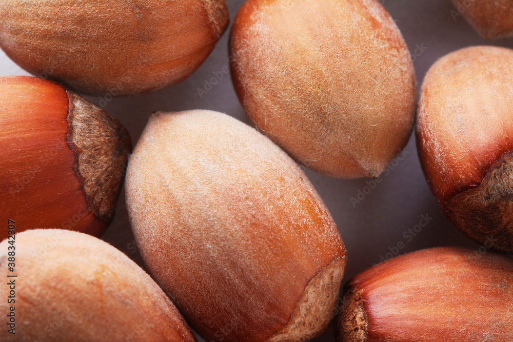 Forest nuts hazelnuts. Hazelnut background, healty food. Forest nuts hazelnuts. Hazelnut background, healty food.