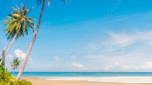 Fototapeta Naklejka Na Ścianę i Meble -  Beautiful beaches and coconut trees in Thailand.