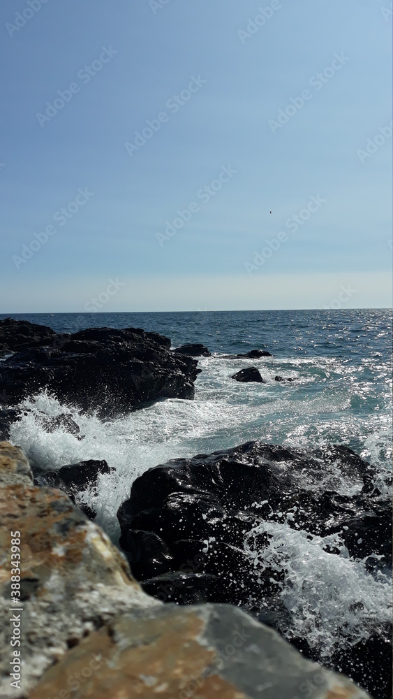 Fototapeta premium PLAYA Y OLAS