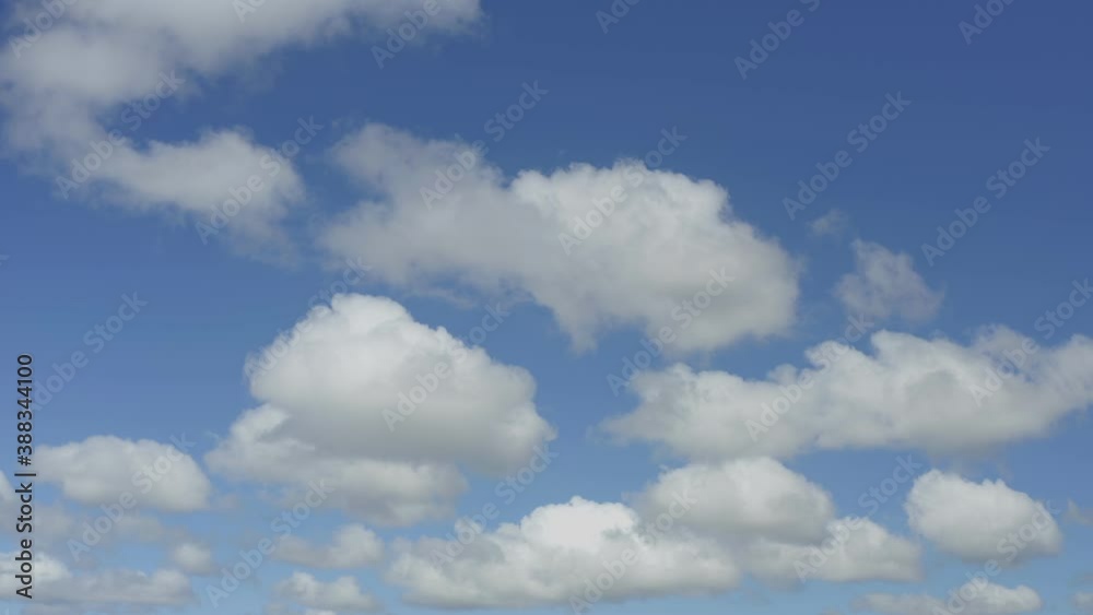 Clouds drifting in the sky with white puffy clouds and cotton looking clouds. Clouds drifting in the sky with white puffy clouds and cotton looking clouds.