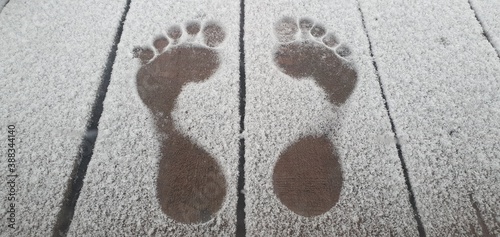 Valokuva winter is coming
