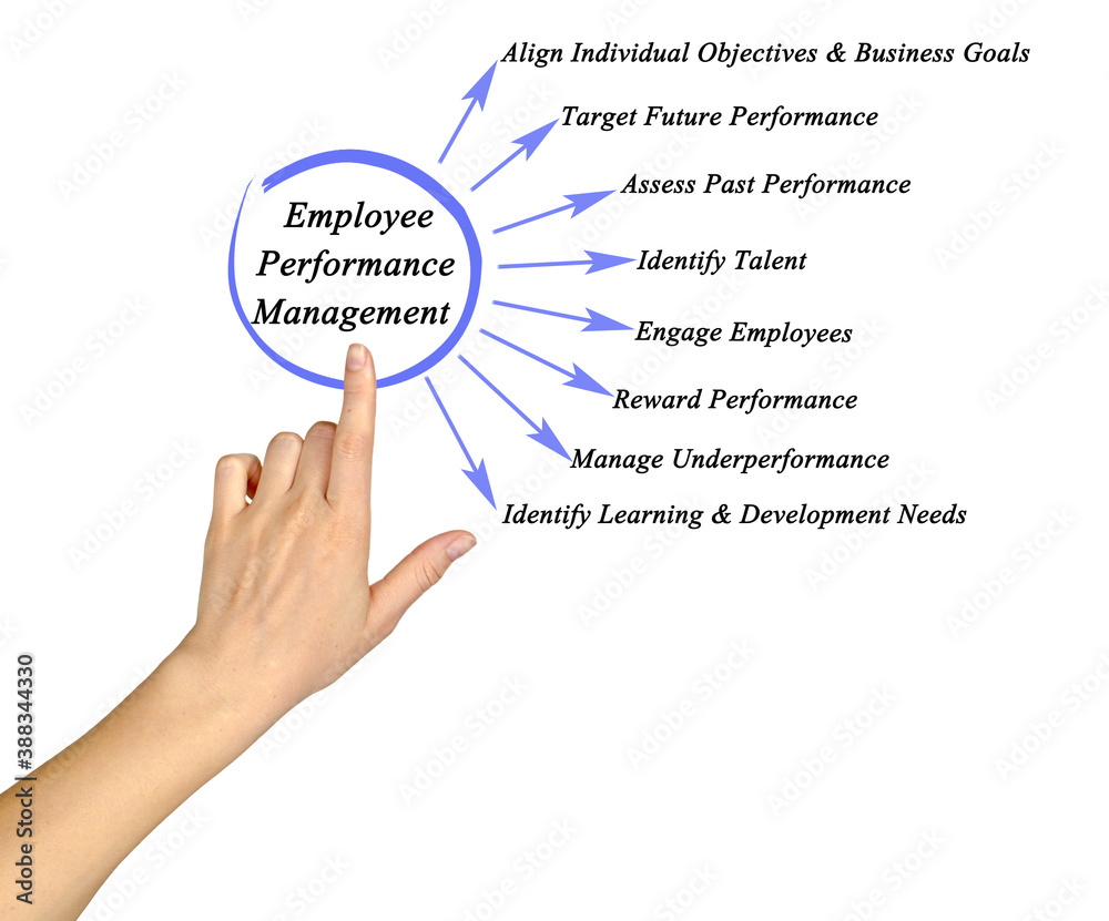 Components of Employee Performance Management Components of Employee Performance Management