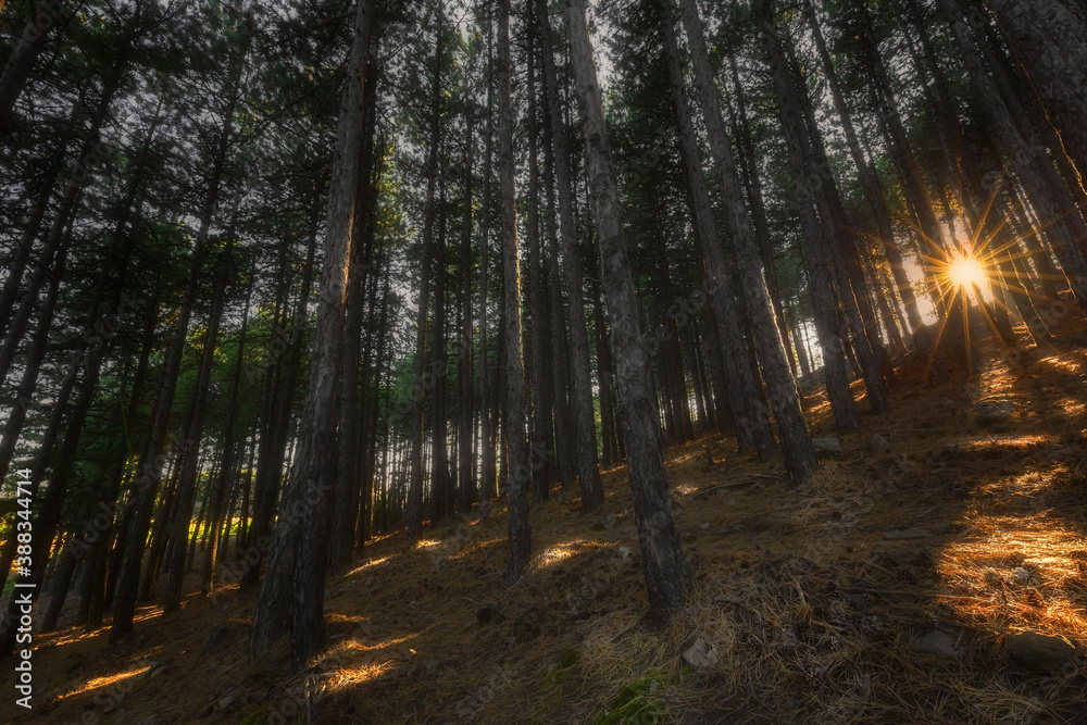 Obraz premium It's autumn time. Autumn colors. Spectacular autumn scenery.