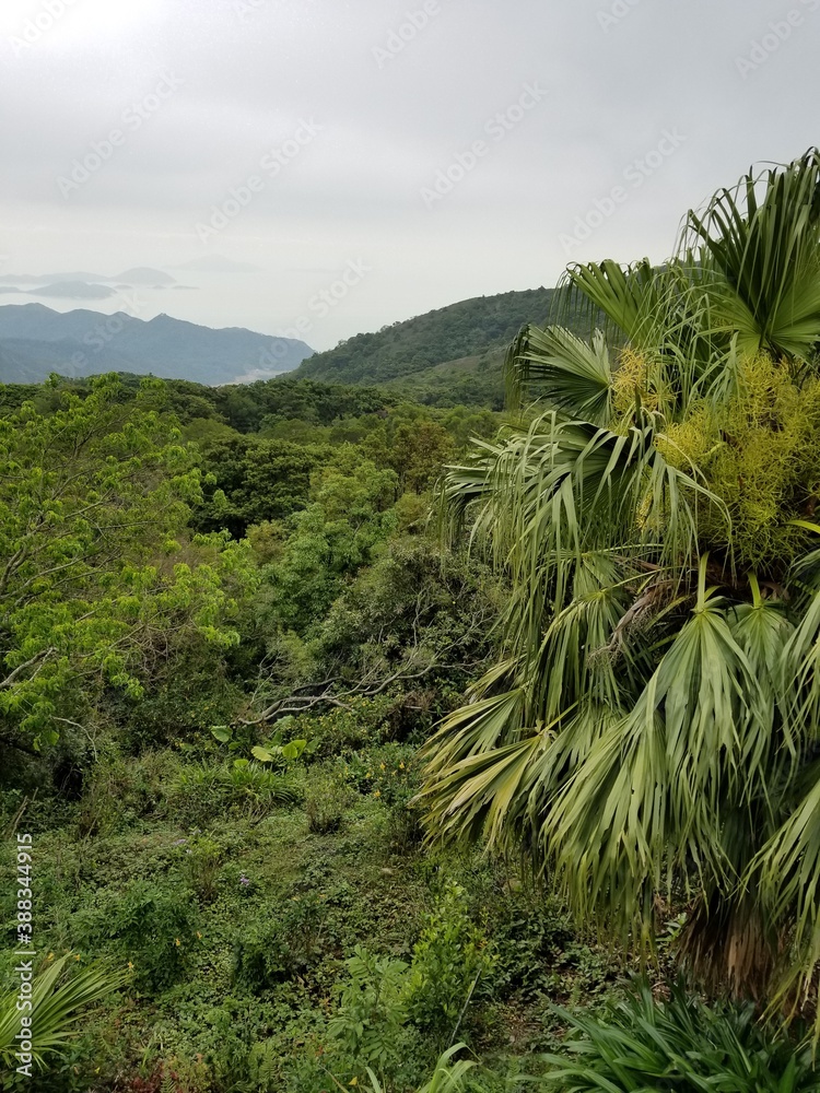 Obraz premium landscape with trees and mountains