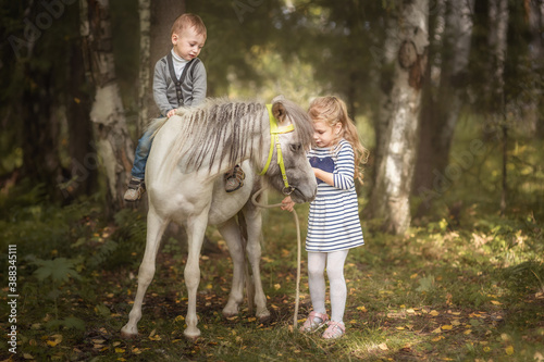 Little blond girl leading pony by bridle with her younger brother © Elena Odareeva
