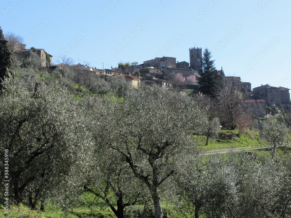 Panorama of Sorana village, province of Pistoia . Tuscany, Italy
