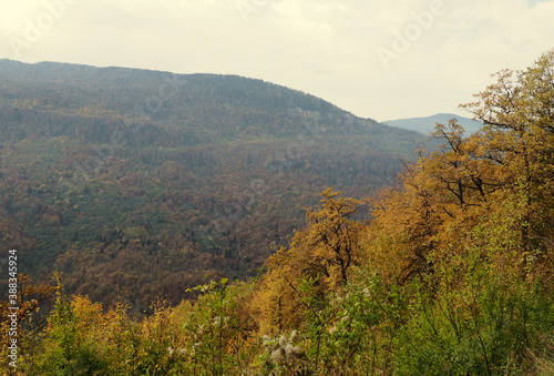 natural background background view from the mountain to the forest below, nature of Russia