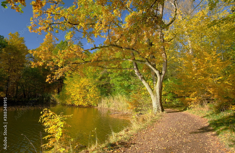 Herbst am Bärensee bei Stuttgart Herbst am Bärensee bei Stuttgart