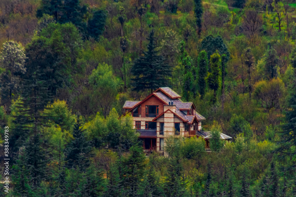 A house in the forest.