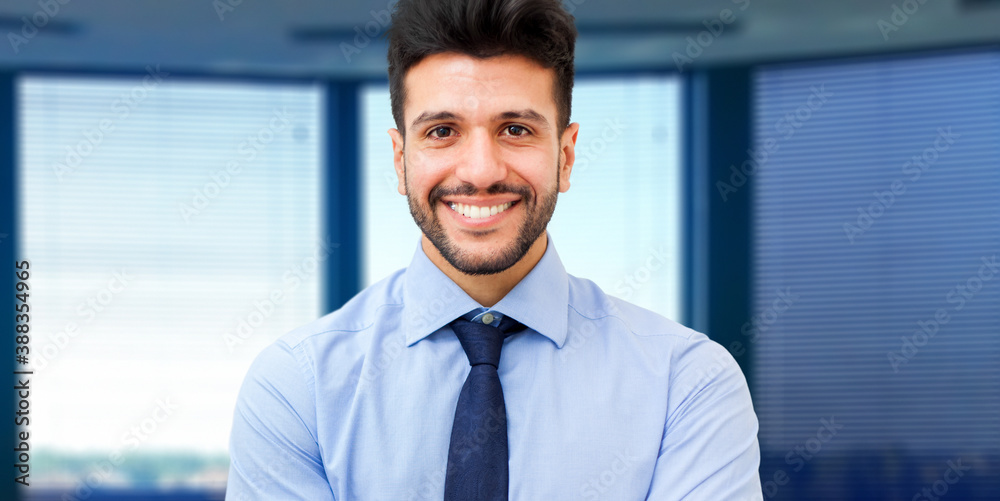 Portrait of a handsome businessman in a modern office - obrazy, fototapety, plakaty 