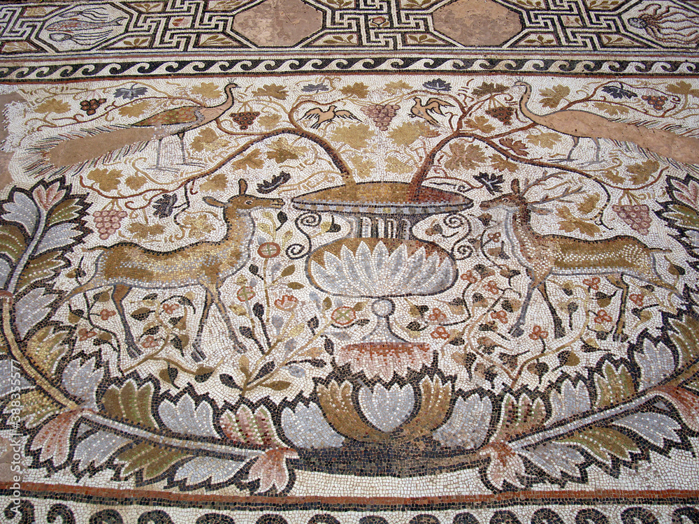 Obraz premium Animal patterned mosaics at the ruins of the Heraklea Lyncestis (Bitola) ancient city in teh Republic of North Macedonia.