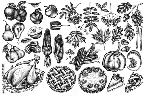 Vector set of hand drawn black and white pumpkin, fork, knife, pears, turkey, pumpkin pie, apple pie, corn, apples, rowan, maple, oak