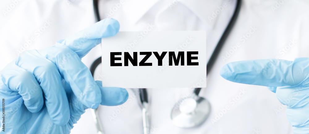 Doctor holding a card with text Enzyme medical concept Doctor holding a card with text Enzyme medical concept