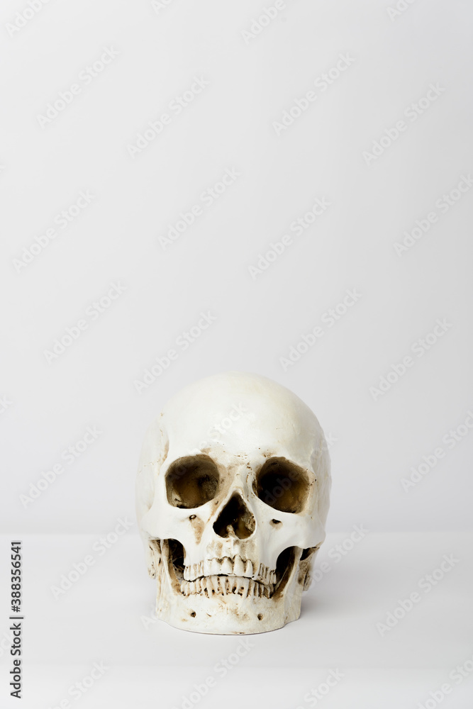 Human skull isolated on white