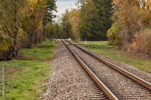 Railway track in autumn landscape surrounded by a forest