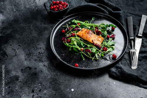 Seafood salad with salmon, arugula, lettuce and cranberries. Black background. Top view. Copy space