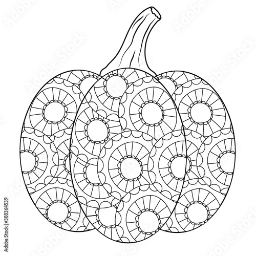 Outlined autumn pumpkin coloring book page in botanical style. Doodle illustration for fun drawing leisure time, being at home. Vector ornated gourd on white isolated background. EPS10