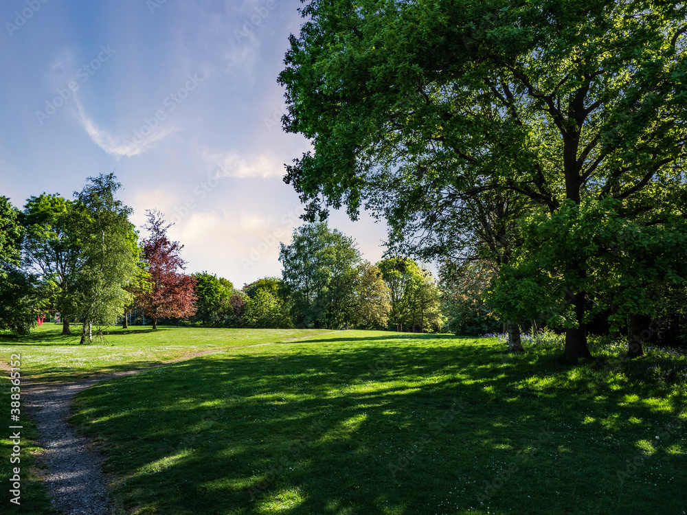 Obraz premium PARK PHOTOGRAPHY 