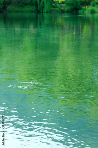 金鱗湖の湖面