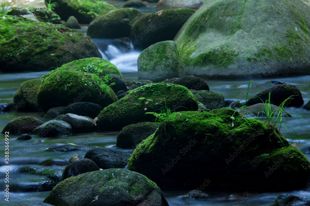 Fototapeta premium 由布川峡谷