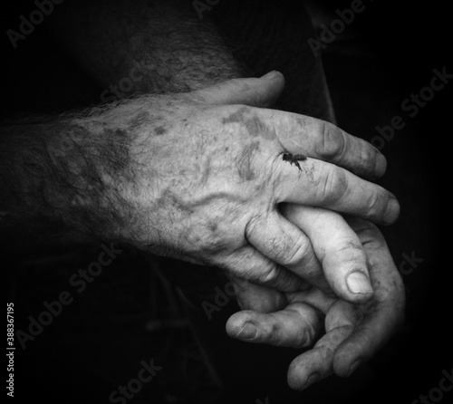 hands of old person