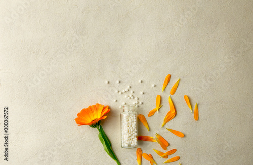 Flat lay view of transparent bottle jar lie over and round homeopathy pills globules scattered on rustic beige background, pot margold blossoms. Room for text. Alternative medicine healing concept.