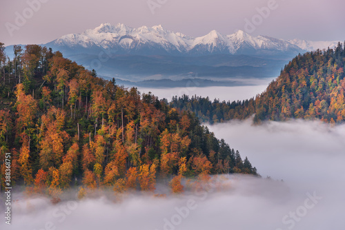 Magnificent landscapes of autumn mountains covered with fog, reaching the distant snow-capped peaks of the High Tatras 