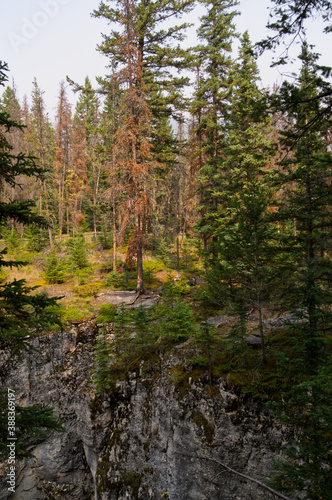 Maligne Canyon on a Smoky Day